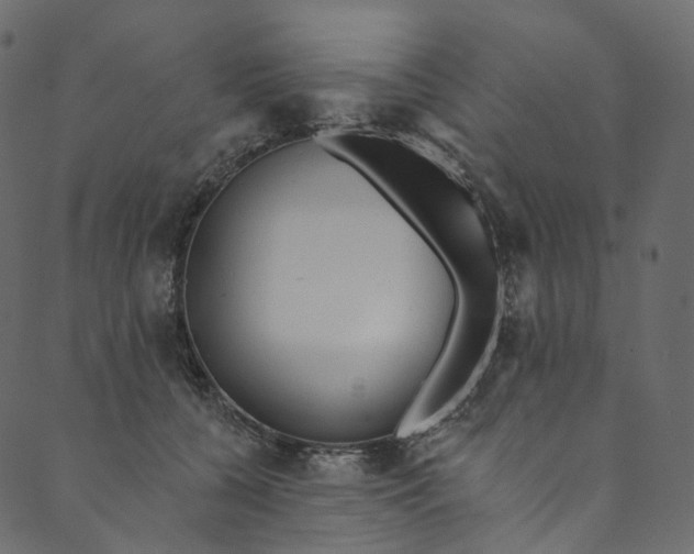 X0000089680560200707121252