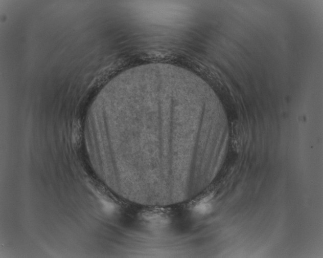X0000089680563200707121252