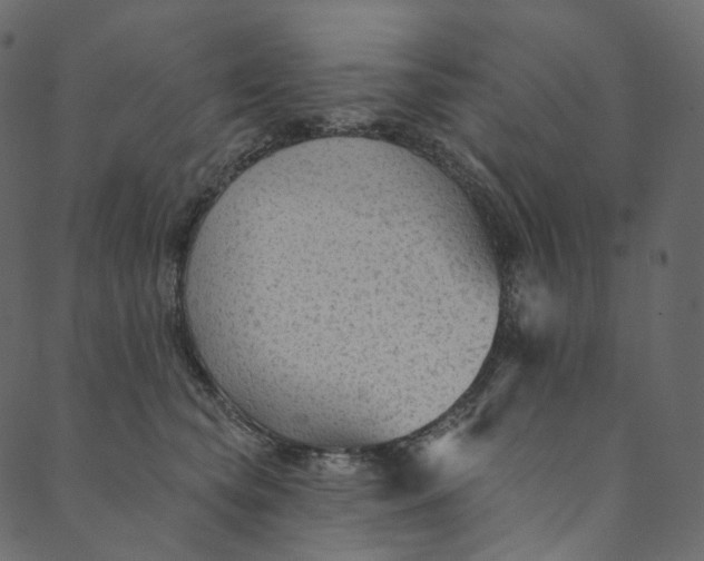 X0000089680565200707121252