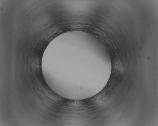 X0000089680567200707121252