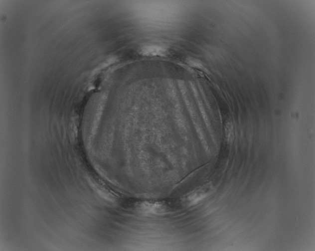 X0000089680570200707121252