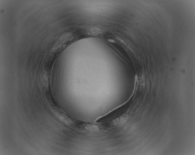 X0000089680572200707121252