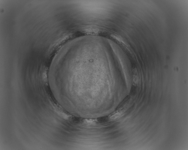 X0000089680573200707121252