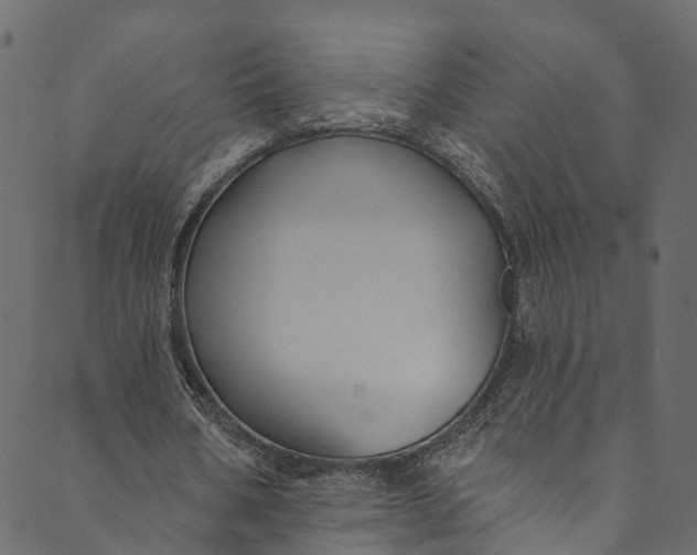 X0000089680578200707121251