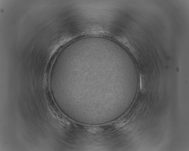 X0000089680579200707121251