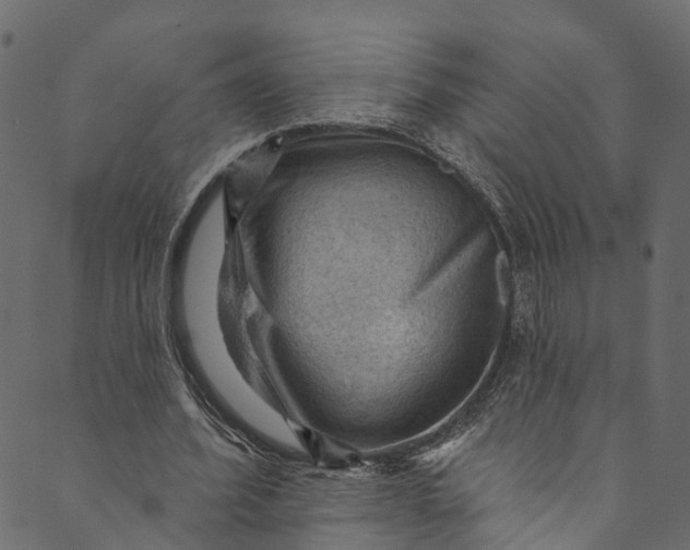 X0000089680580200707121251