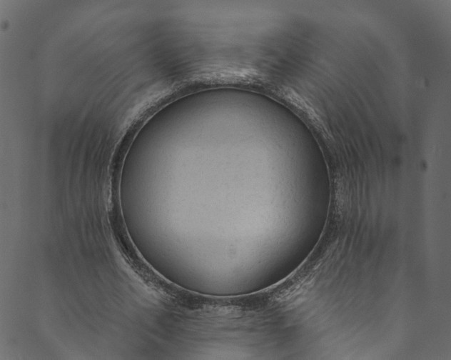 X0000089680582200707121251