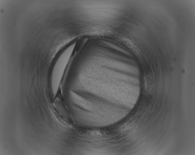 X0000089680588200707121251