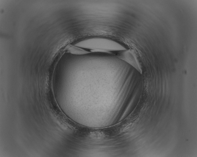 X0000089680591200707121251
