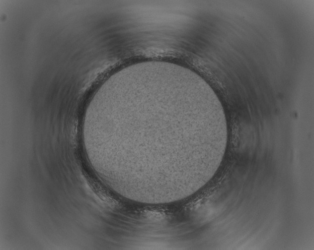 X0000089680592200707121251
