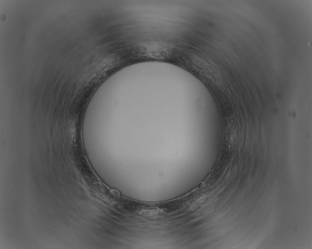 X0000089680595200707121251