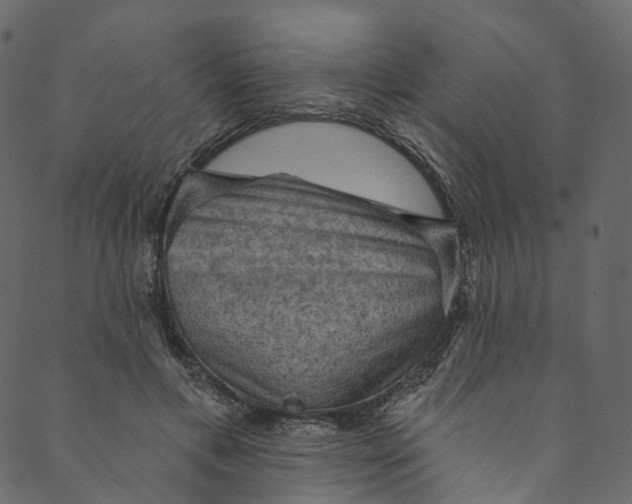 X0000089680597200707121251