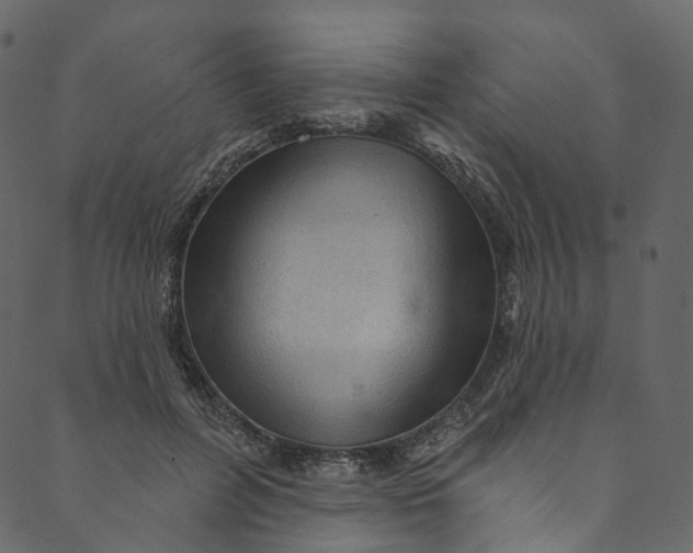 X0000089680600200707121251