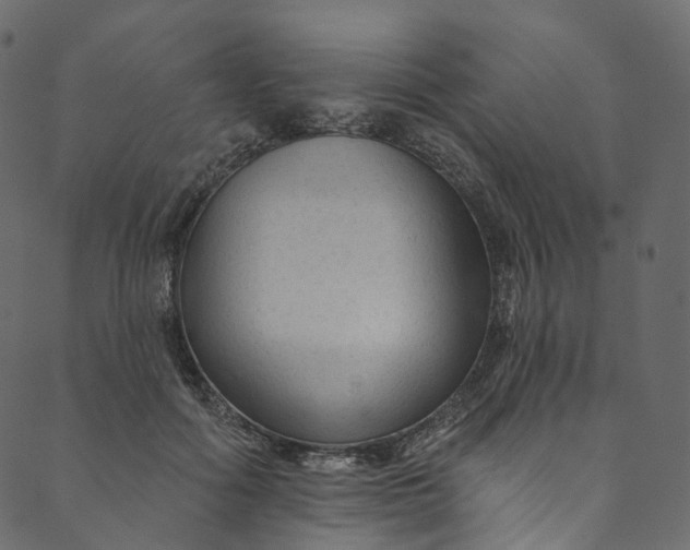 X0000089680602200707121251
