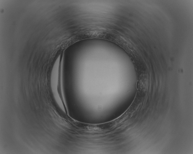X0000089680605200707121251