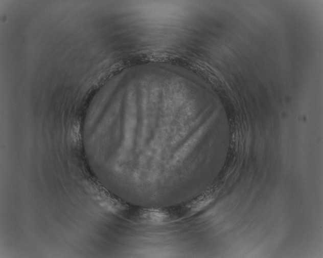 X0000089680610200707121250