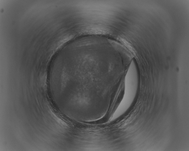 X0000089680627200707121250