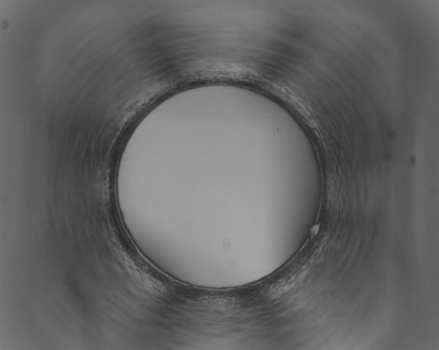 X0000089680629200707121250