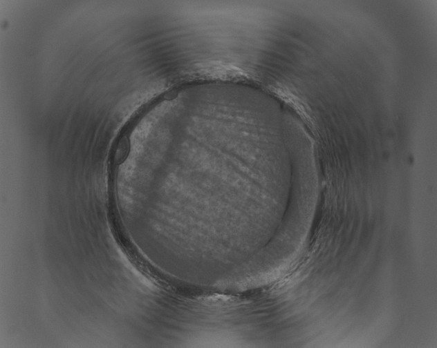X0000089680630200707121250