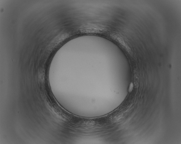 X0000089680631200707121250