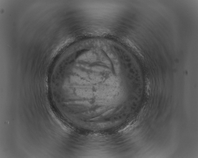 X0000089680634200707121250