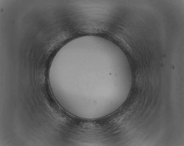 X0000089680635200707121250