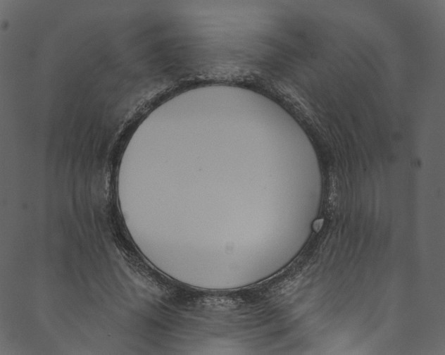 X0000089680636200707121250