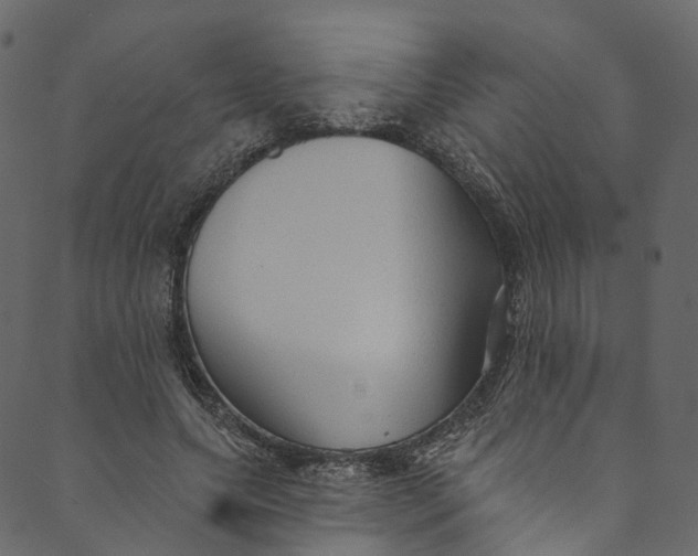 X0000089680639200707121250