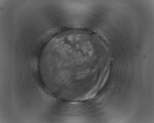 X0000089680643200707121250