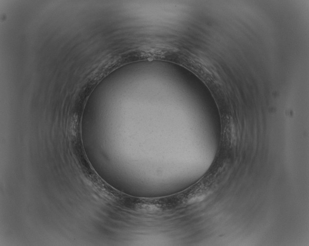 X0000089680649200707121250