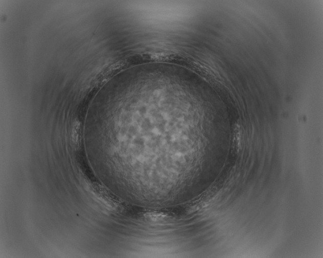 X0000089680650200707121250