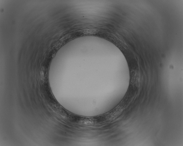 X0000089680655200707121250