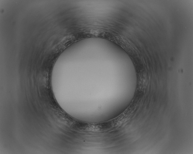 X0000089680656200707121250