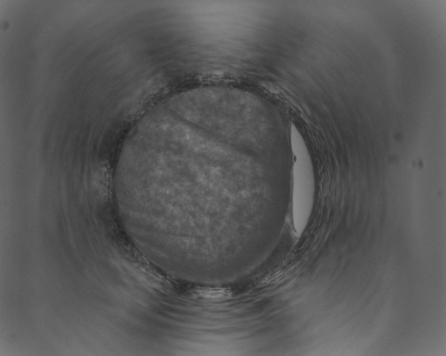 X0000089680659200707121250
