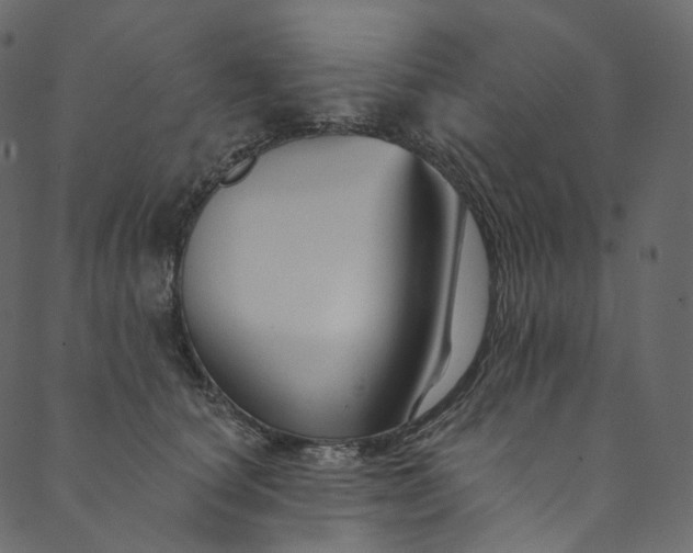 X0000089680660200707121250
