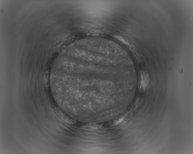 X0000089680661200707121250