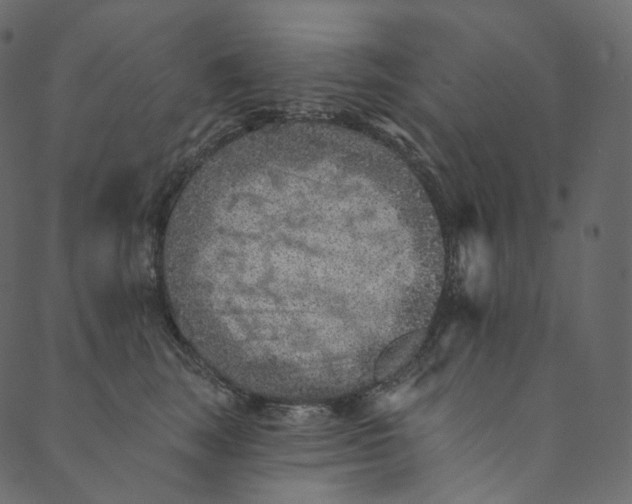 X0000089680663200707121250