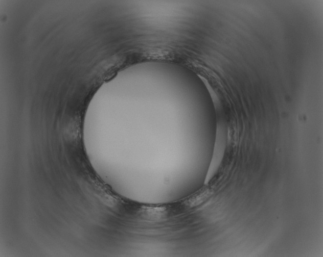 X0000089680665200707121250