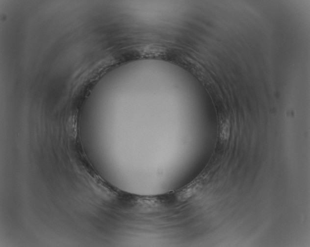 X0000089680666200707121250