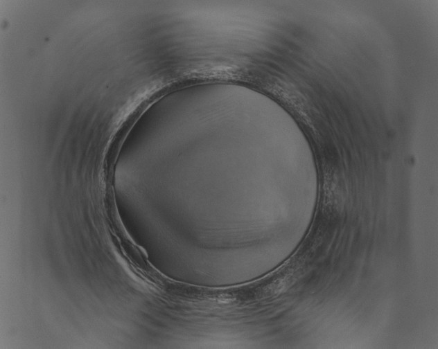 X0000089680674200707121249