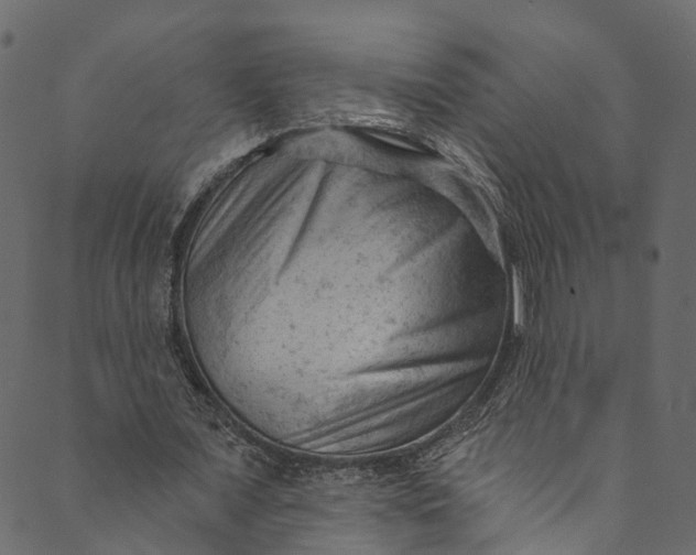 X0000089680675200707121249