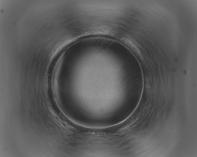 X0000089680676200707121249