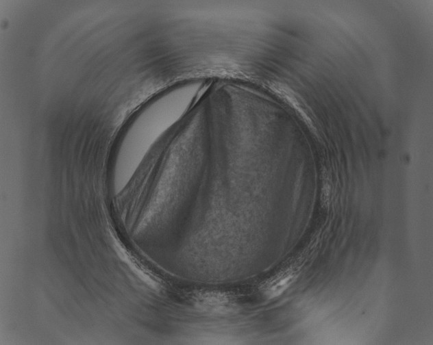 X0000089680677200707121249