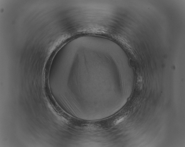 X0000089680678200707121249