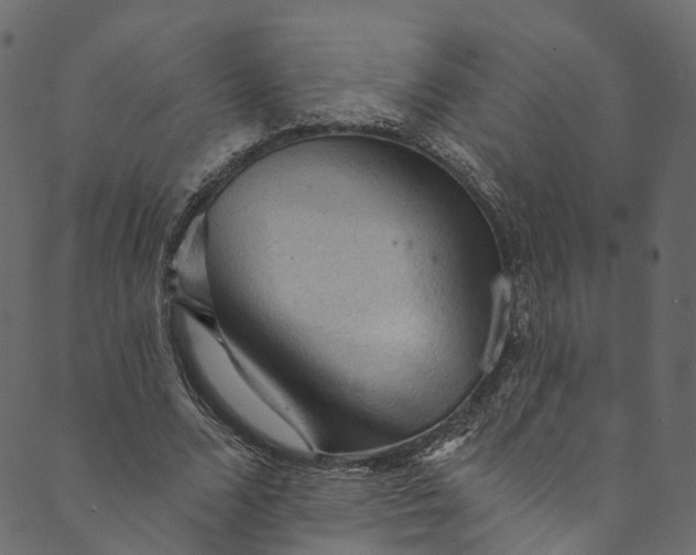 X0000089680680200707121249