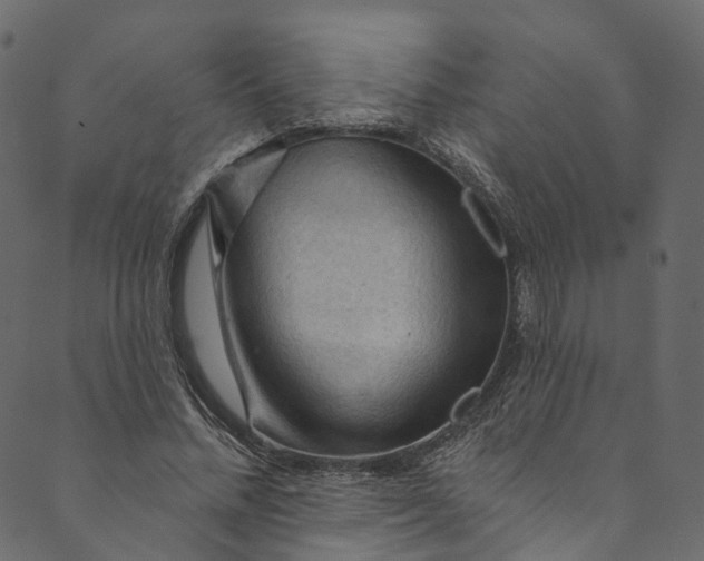X0000089680684200707121249