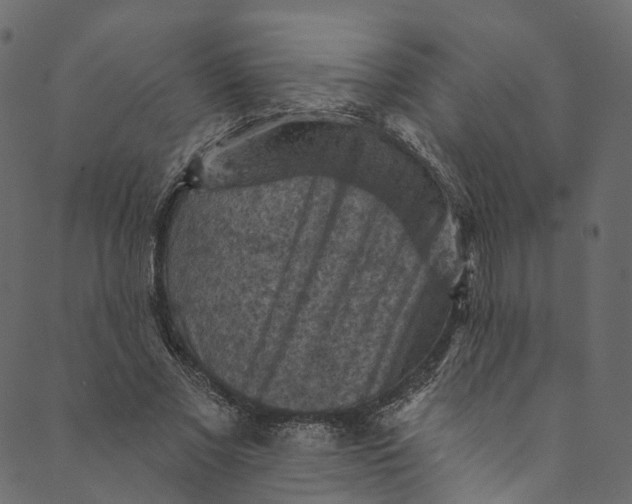 X0000089680685200707121249
