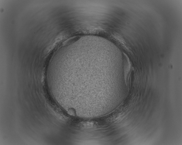 X0000089680687200707121249