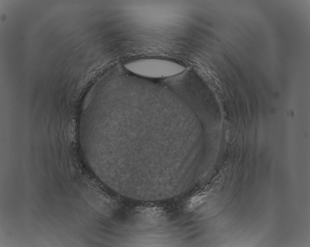X0000089680689200707121249