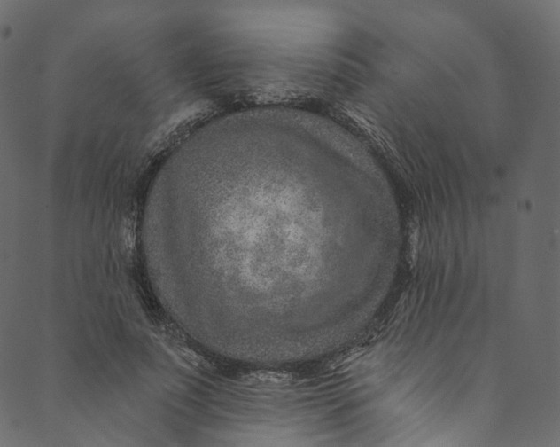 X0000089680691200707121249